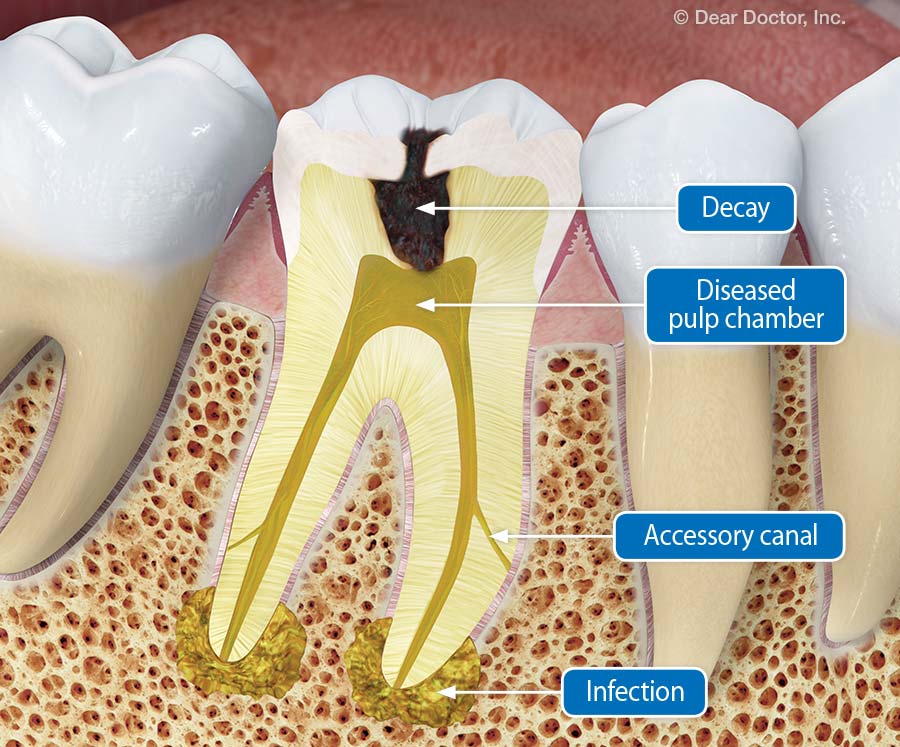 MALABAR DENTAL SPECIALITY CENTRE SMART TRADE CITY  KOTTAKKAL